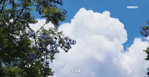 希门尼斯世界杯佩戴防护头带引发关注