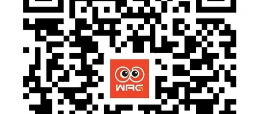 广州豹官方:2026届高考生可免费领取足协杯对阵国安的球票