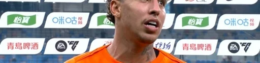 河北1-1武汉 尹鸿博破门埃弗拉救主